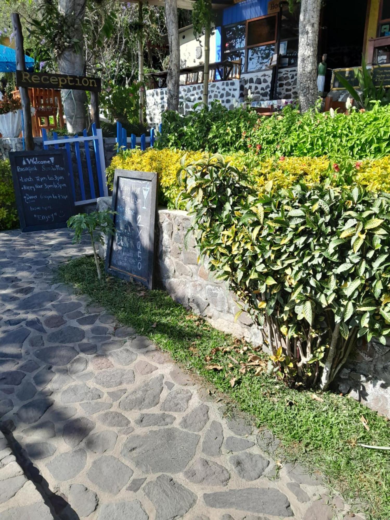 Apartment David Arca De Noe Santa Cruz La Laguna